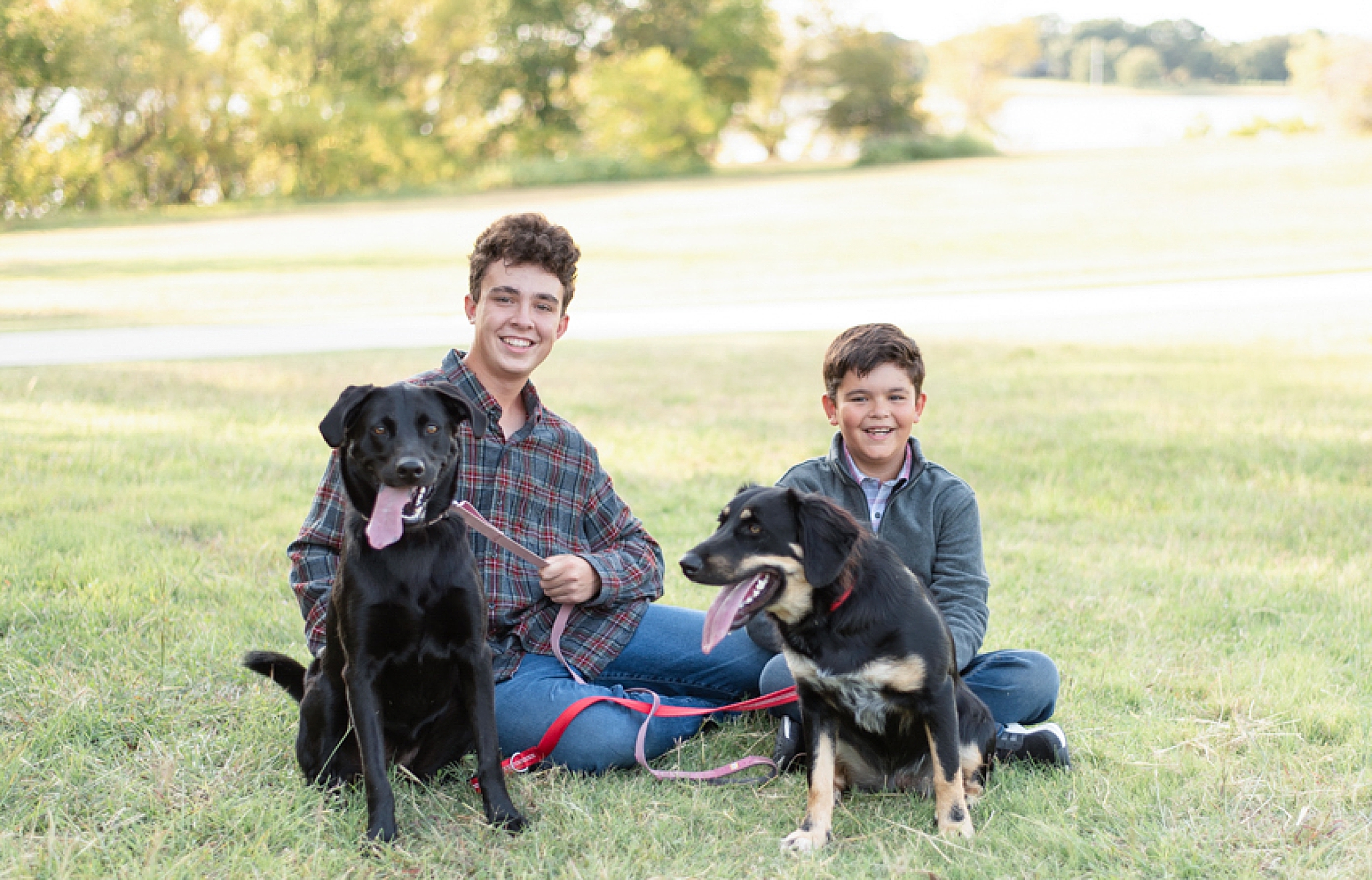 brothers pose with two dogs in Little Elm Park
