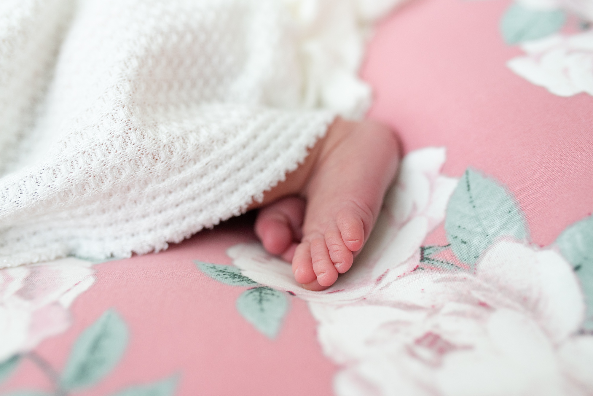 newborn session at home for baby girl