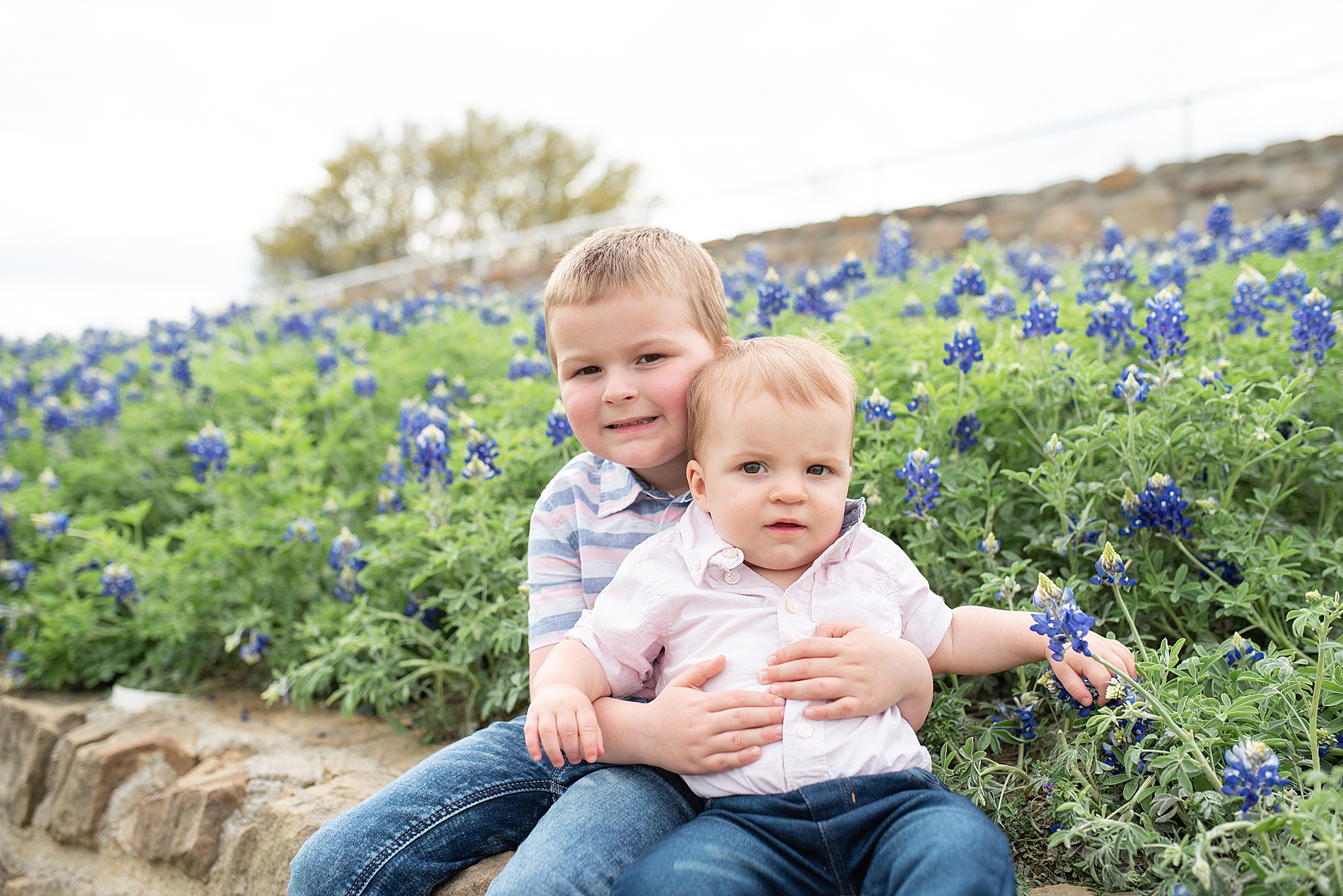 boy holds brother during bluebonnet mini sessions