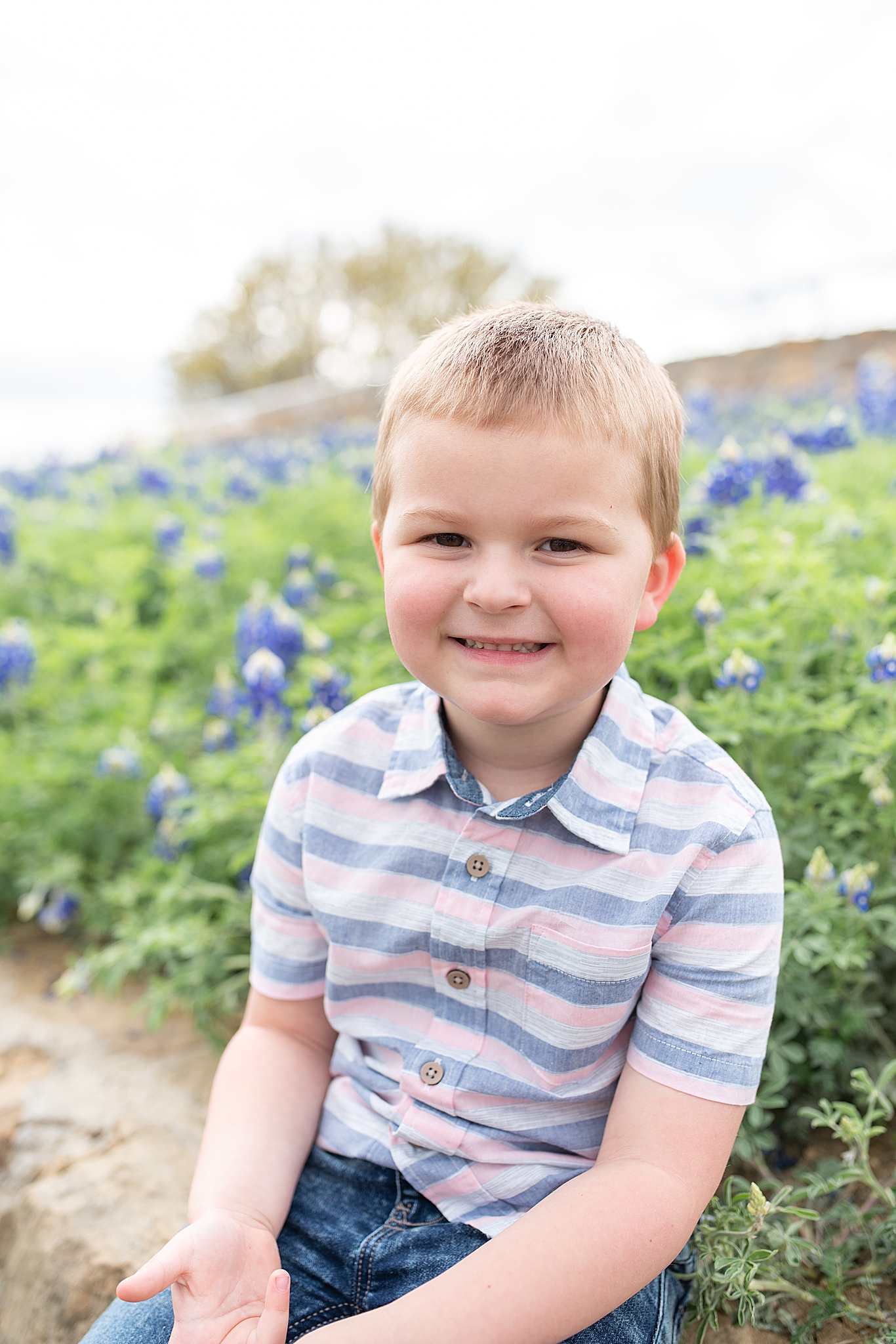 toddler sits in front of Texas bluebonnet field