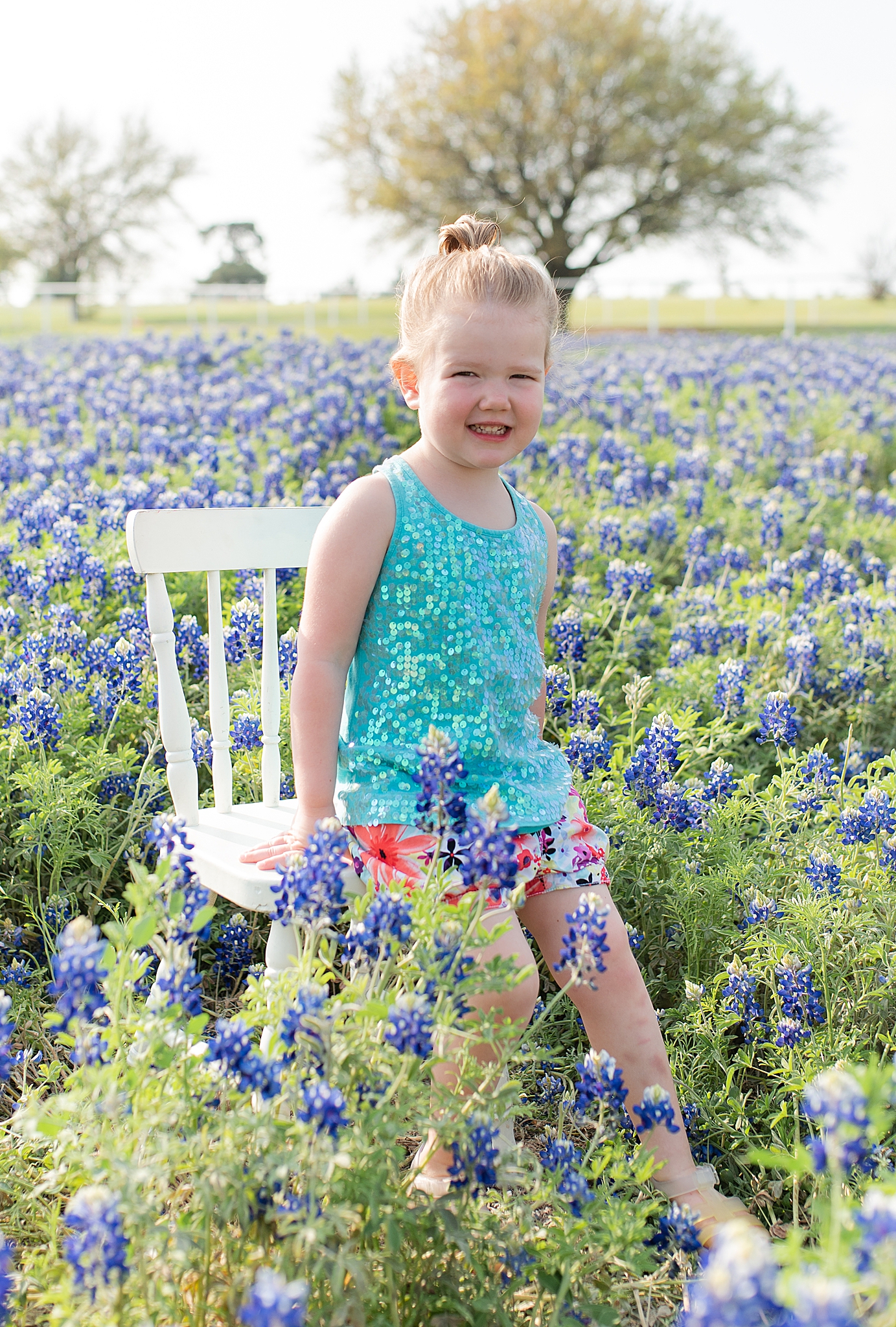 toddler sits on white chair in bluebonnet field