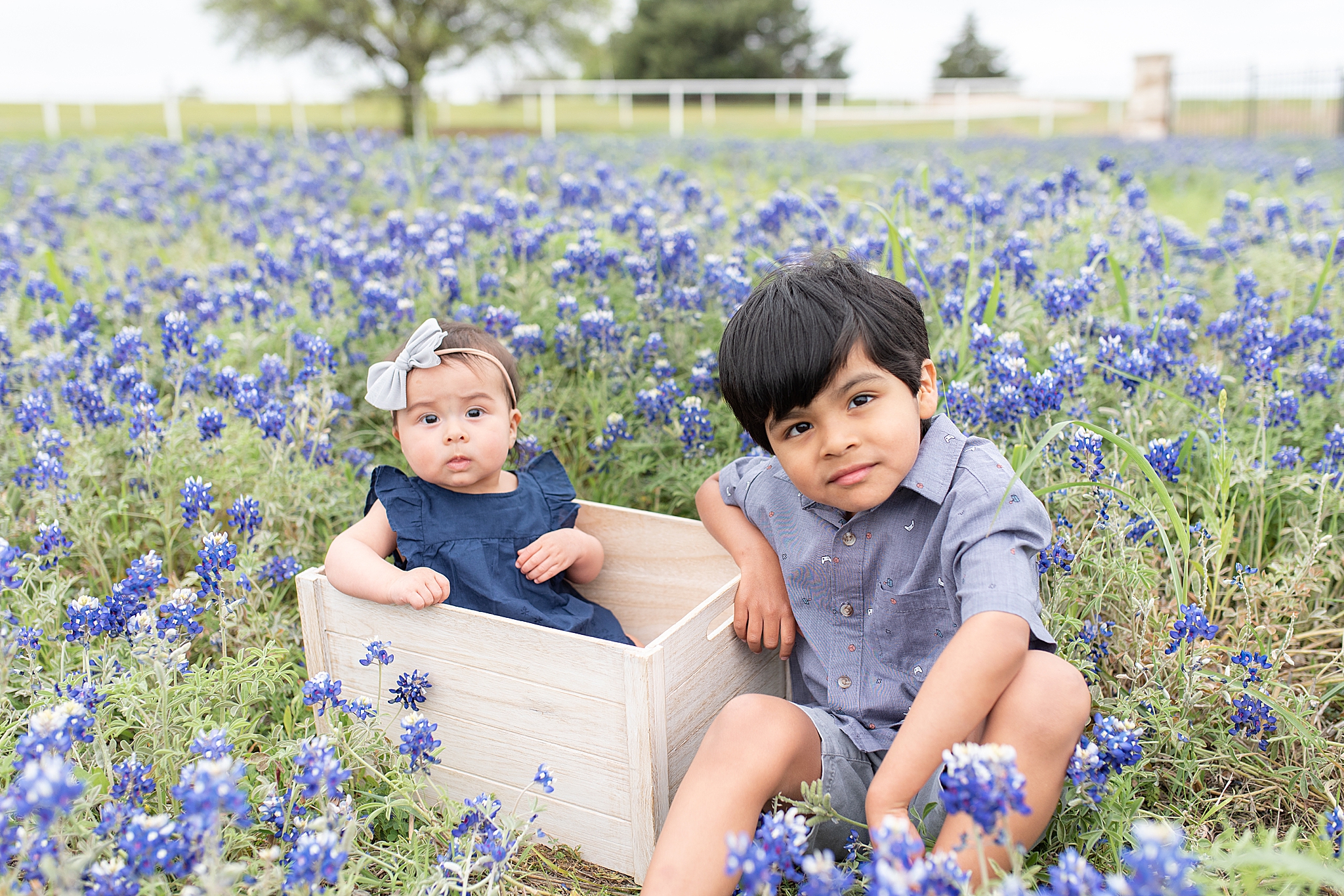 toddler sits with young sister during mini sessions in Texas