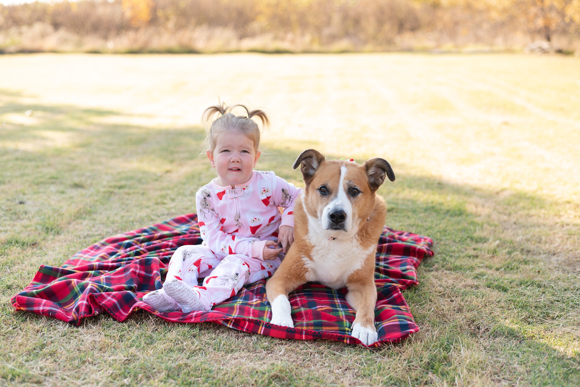 girl sits with dog on red plaid blanket during Christmas photos