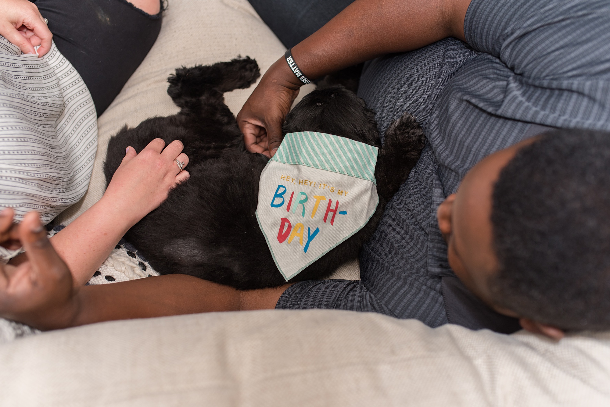 dog in "happy birthday" bandana plays on bed
