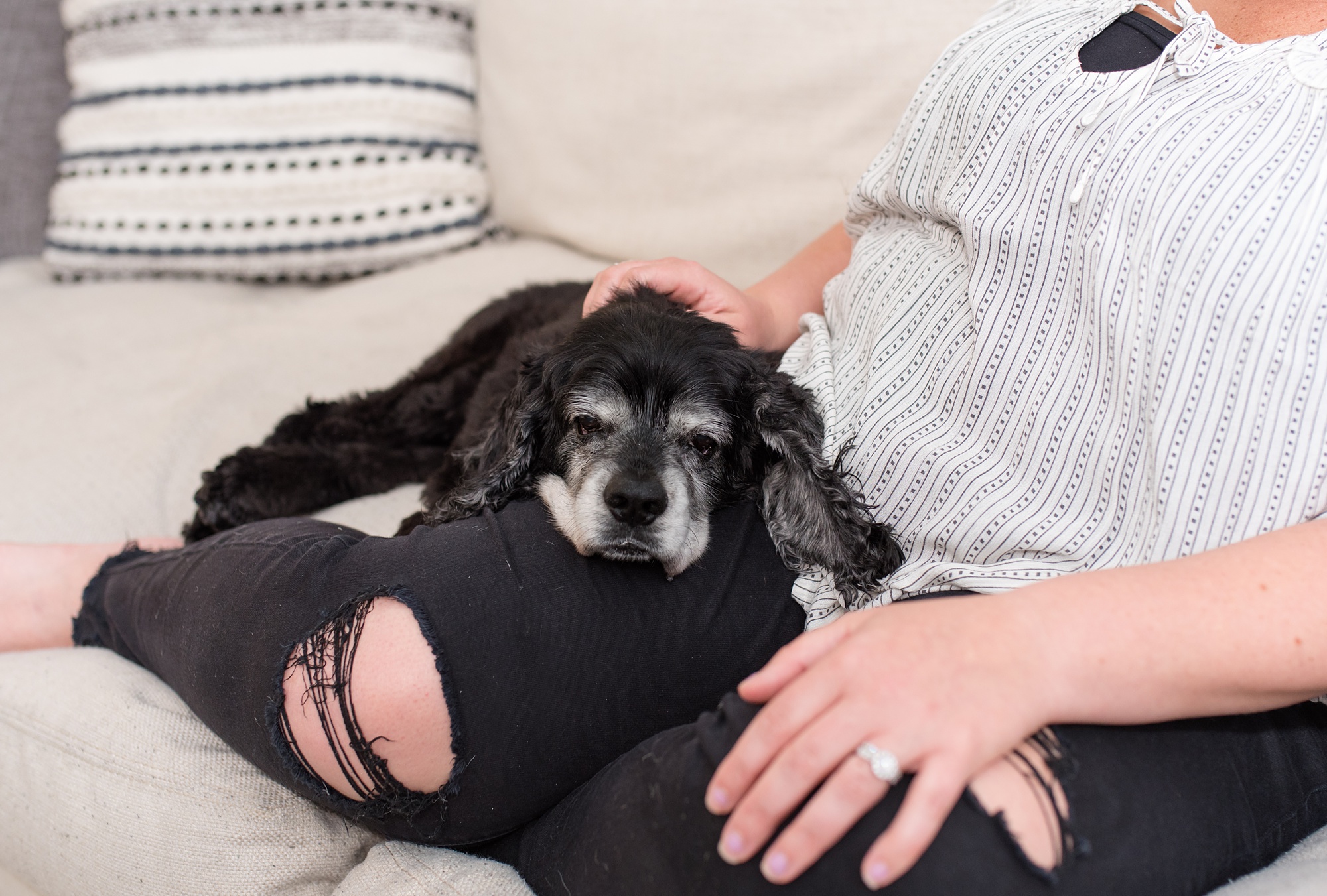 dog sleeps on woman's leg during in-home family session