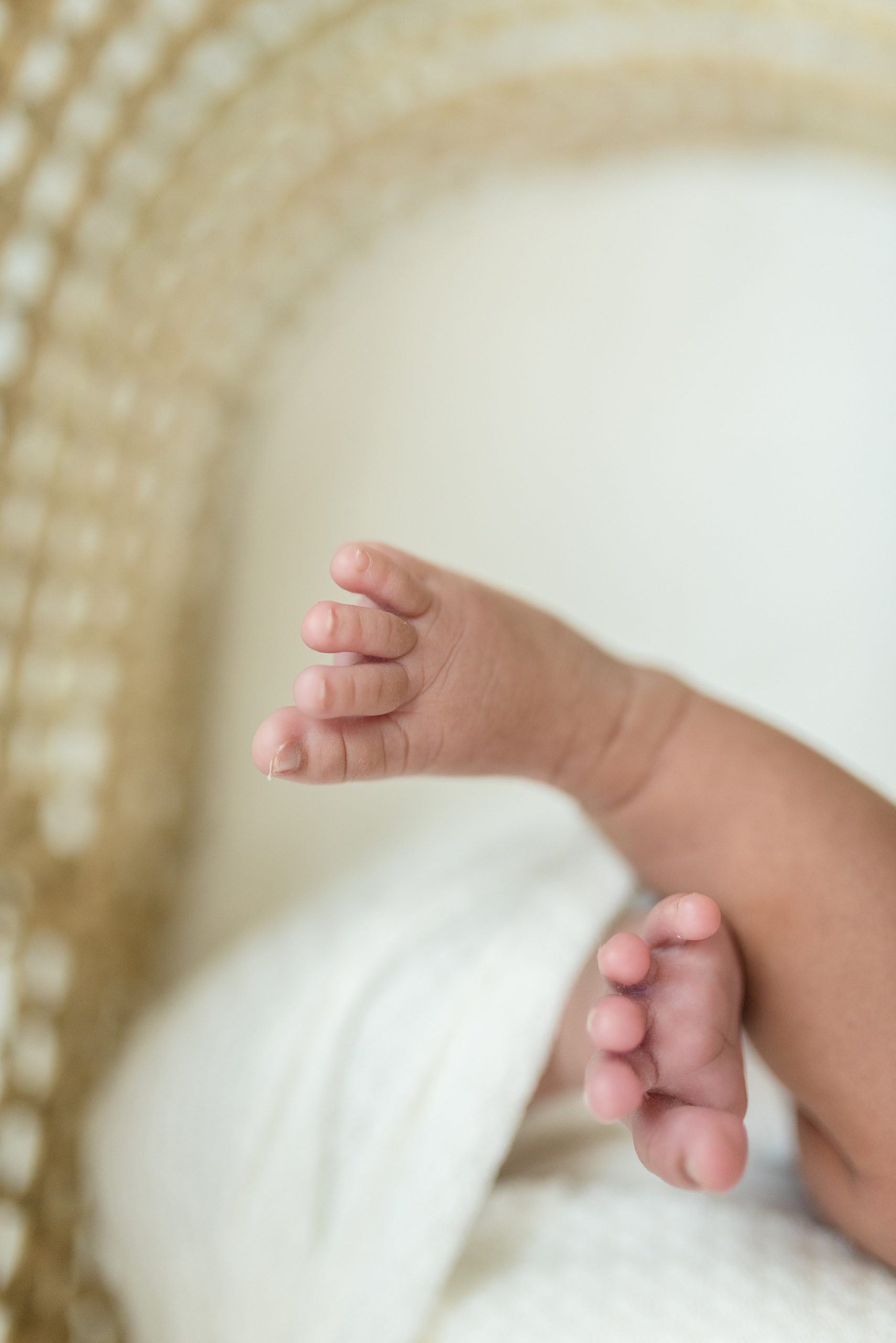 Newborn girl's little toes