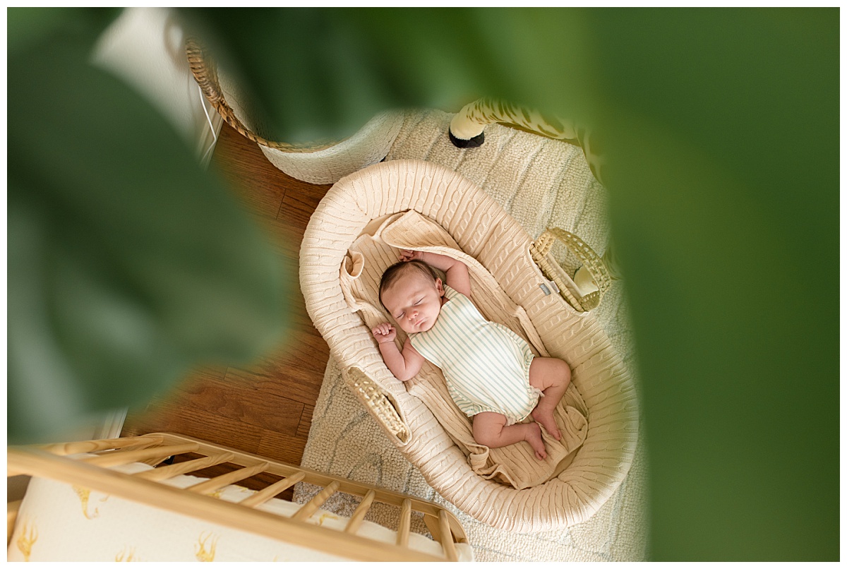 Neutral safari nursery with baby sleeping. Photographed by Dallas newborn photographer Lindsey Dutton Photography