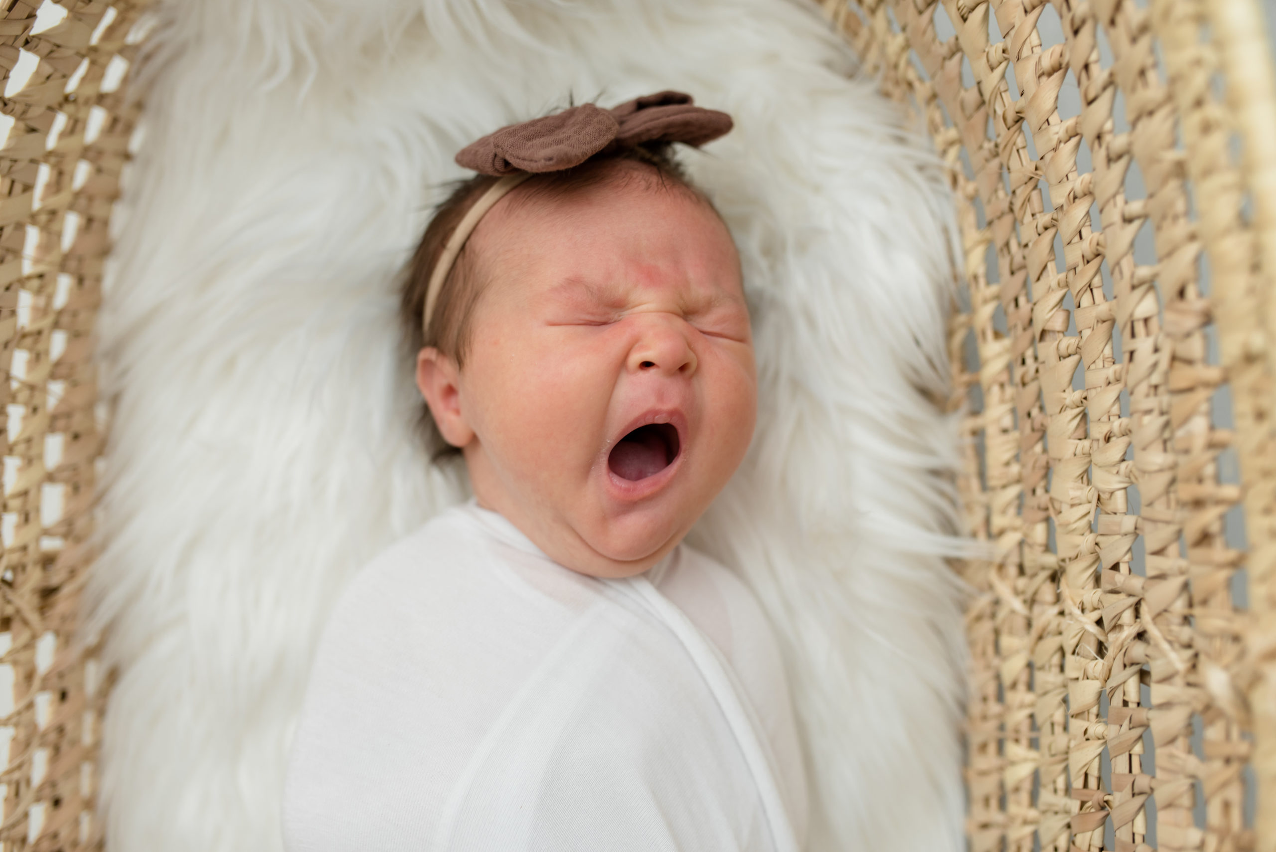 Newborn baby yawning in basket at an in-studio newborn session. Photographed by Dallas newborn photographer Lindsey Dutton Photography
