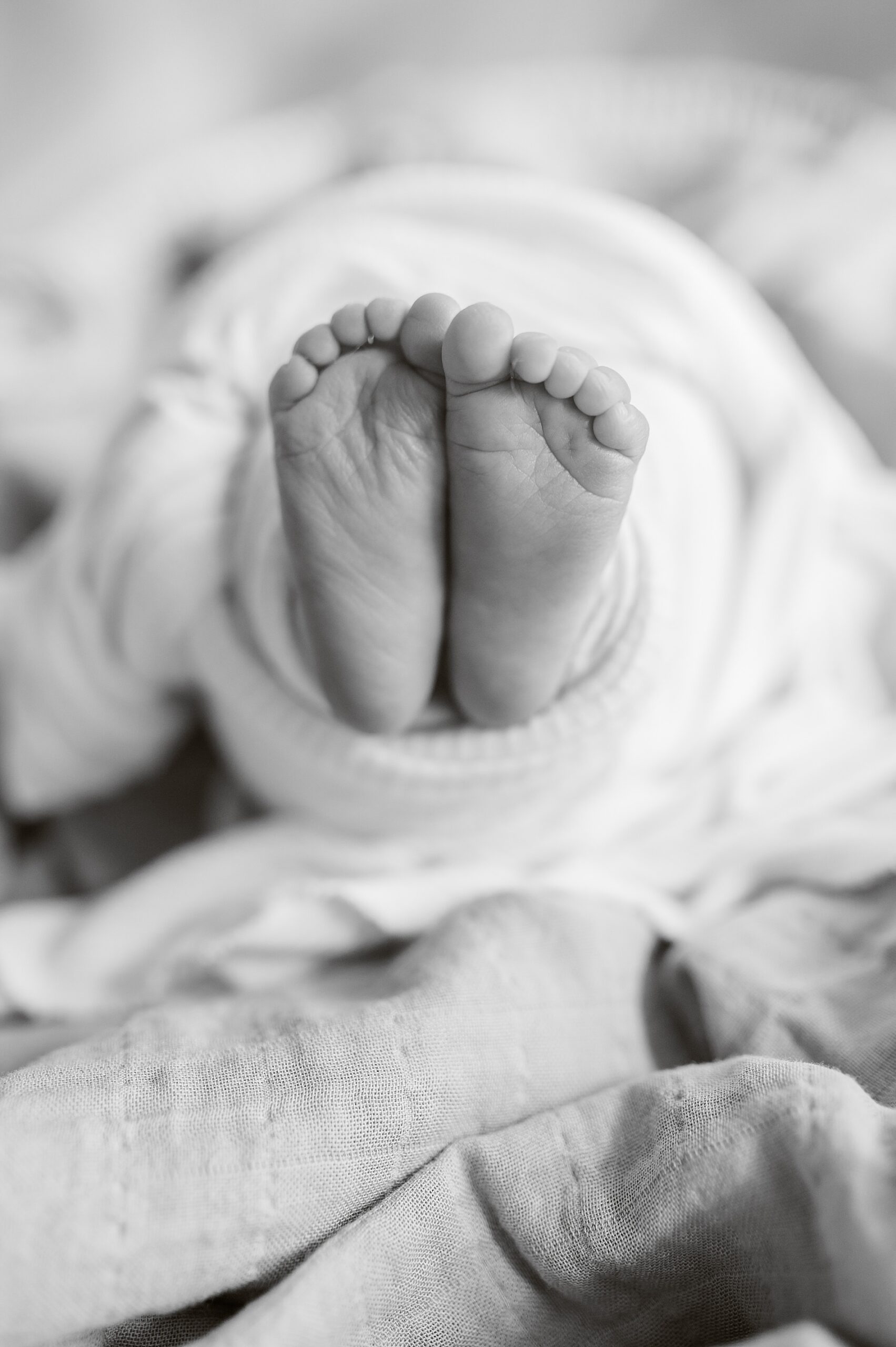 tiny newborn feet photographed by Lindsey Dutton Photography, a Dallas Newborn photographer
