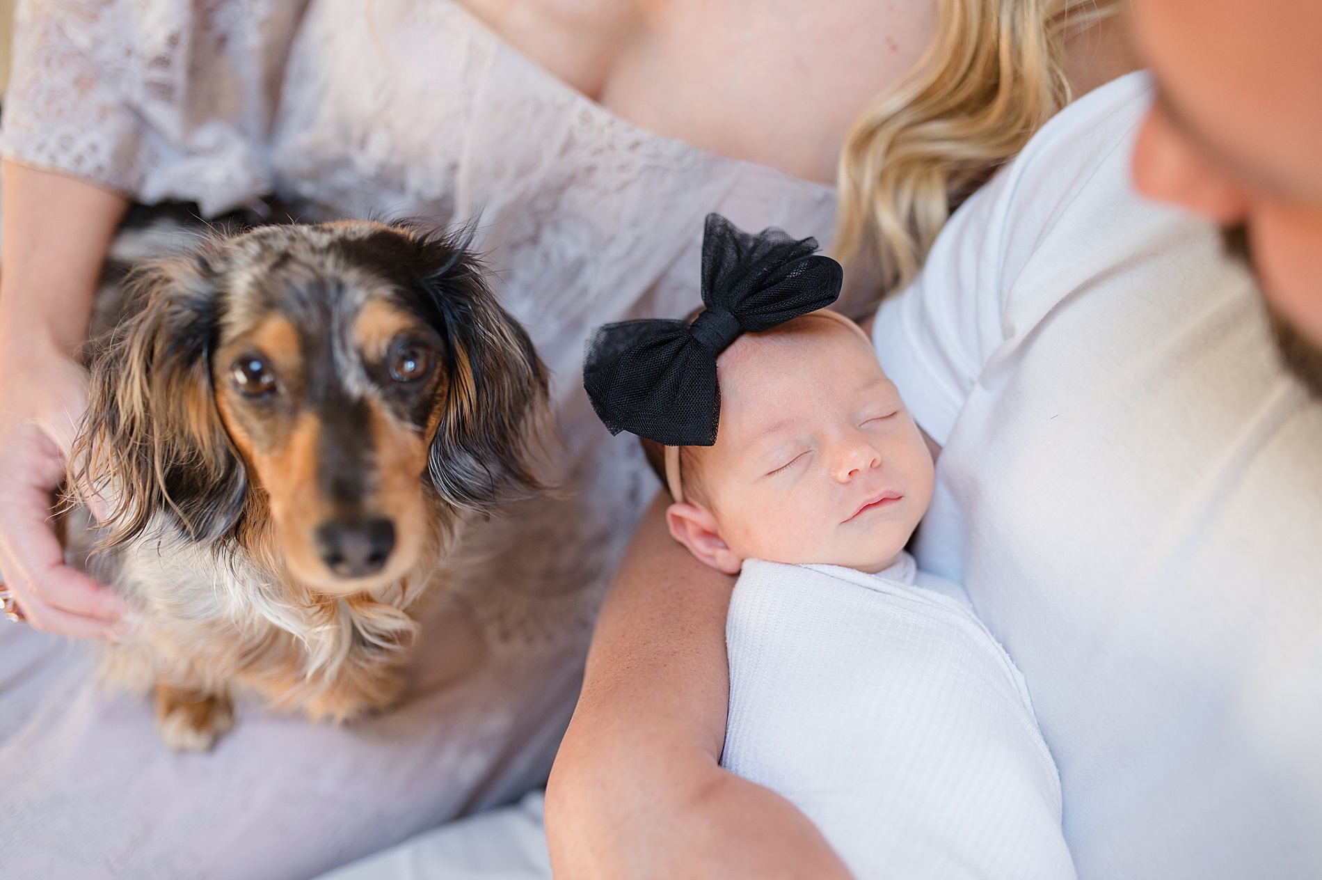 parents hold newborn with dogs nearby photographed by Lindsey Dutton Photography, a Dallas Newborn photographer