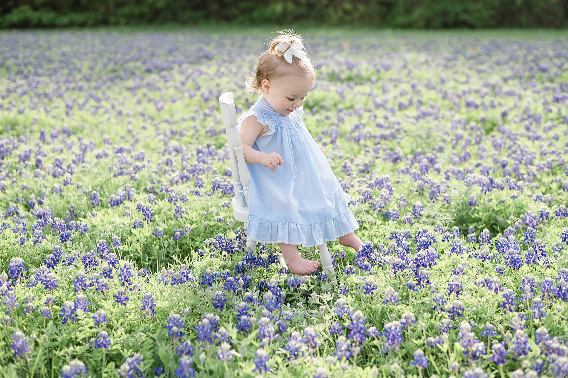 toddler sits in white chair in field of bluebonnets photographed by Lindsey Dutton Photography, a Dallas family photographer