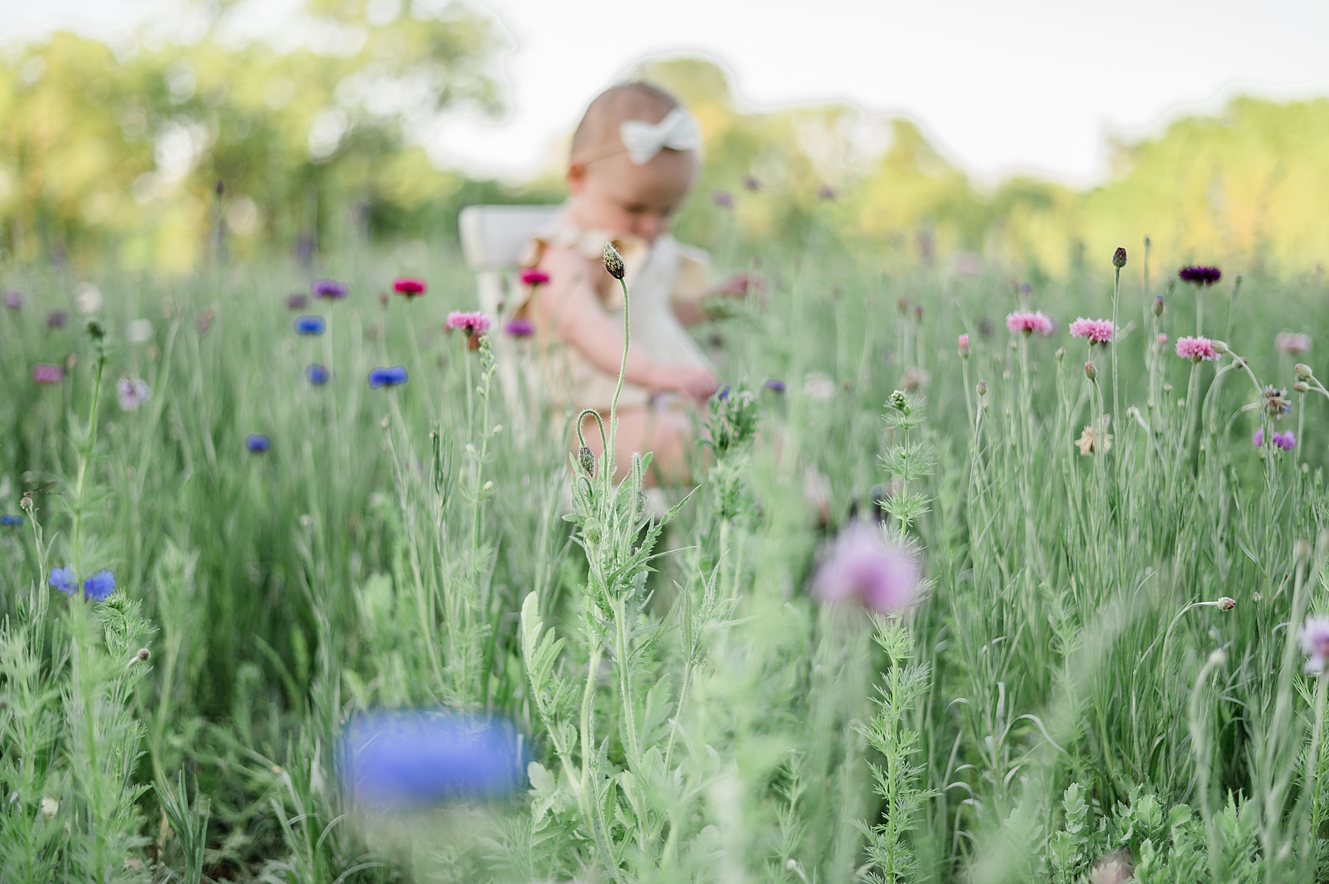 candid photo of little girl in wildflower field taken by Lindsey Dutton Photography, a Dallas family photographer