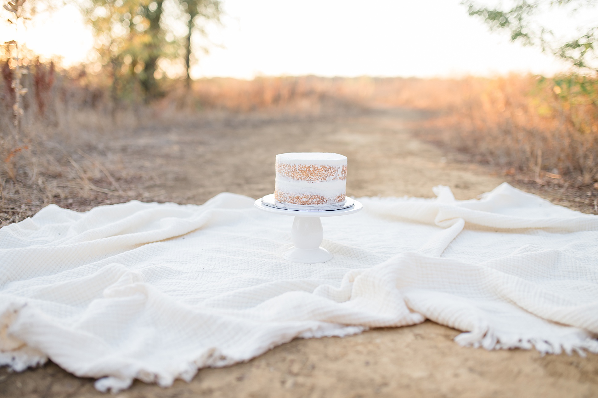 outdoor cake smash session taken by Lindsey Dutton Photography, a Dallas newborn photographer
