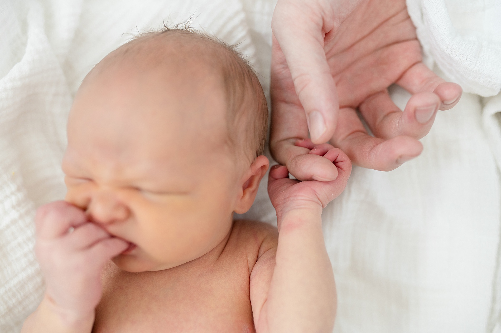 newborn holds mom's finger photographed by Lindsey Dutton Photography, a Dallas newborn photographer
