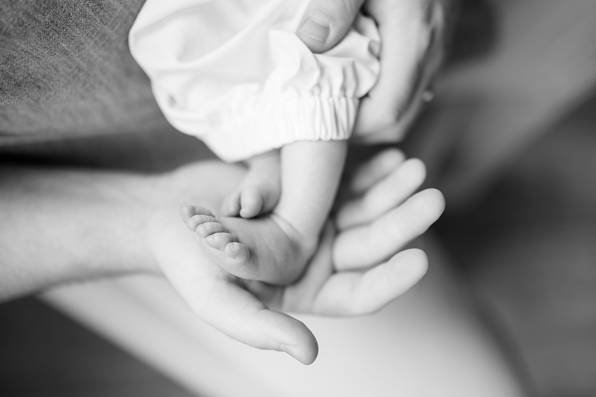 newborn's tiny toes taken by Lindsey Dutton Photography, a Dallas newborn photographer
