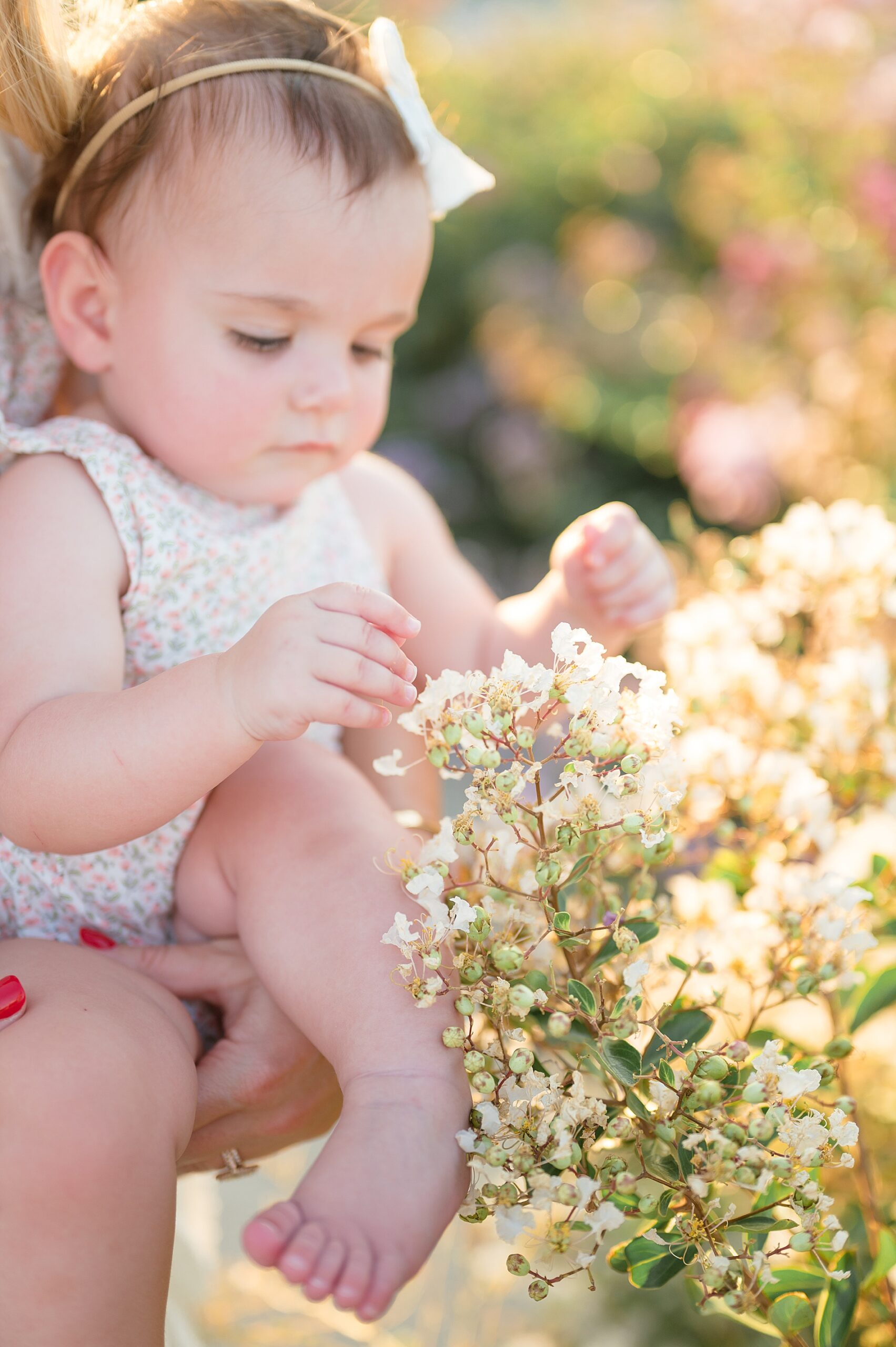 little girl looks at summer flowers photographed by Lindsey Dutton Photography, a Dallas family photographer
