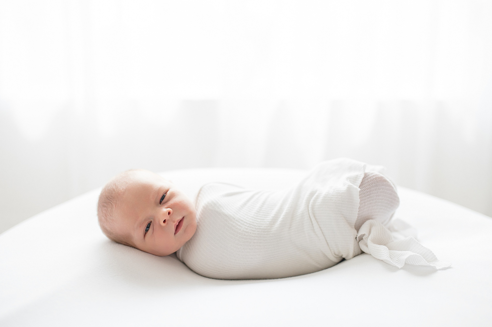 timeless newborn studio session photographed by Lindsey Dutton Photography, a Dallas Newborn photographer