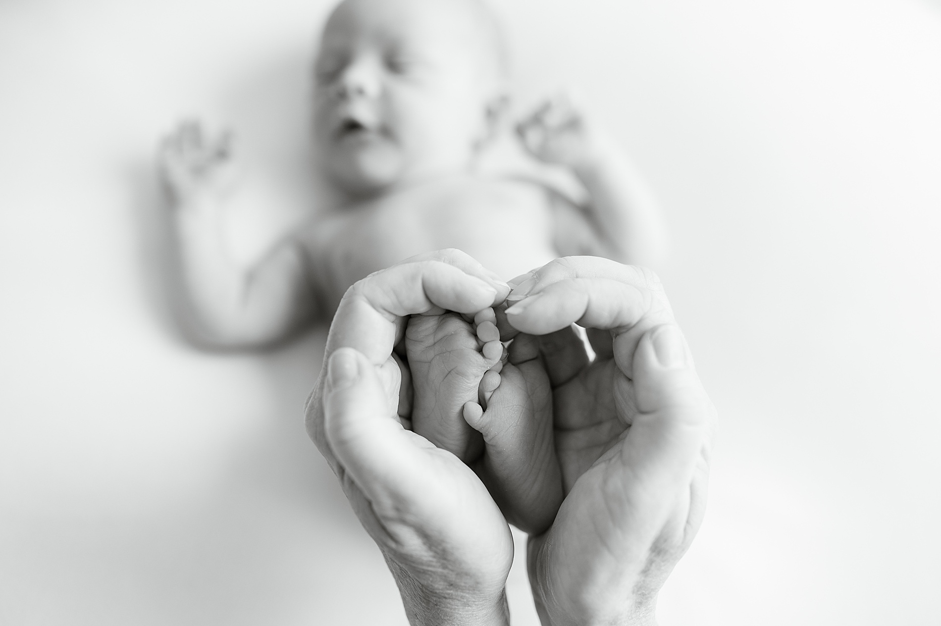 Timeless newborn photos from Simple Studio Newborn Session in Dallas, Texas taken by Lindsey Dutton Photography, a Dallas Newborn photographer