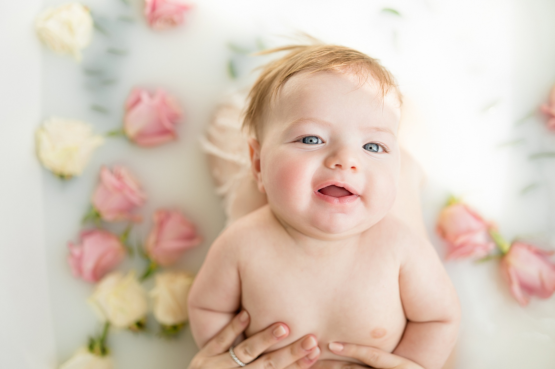 baby in milk bath surrounded by pink and pale yellow roses | Dallas Milestone photography