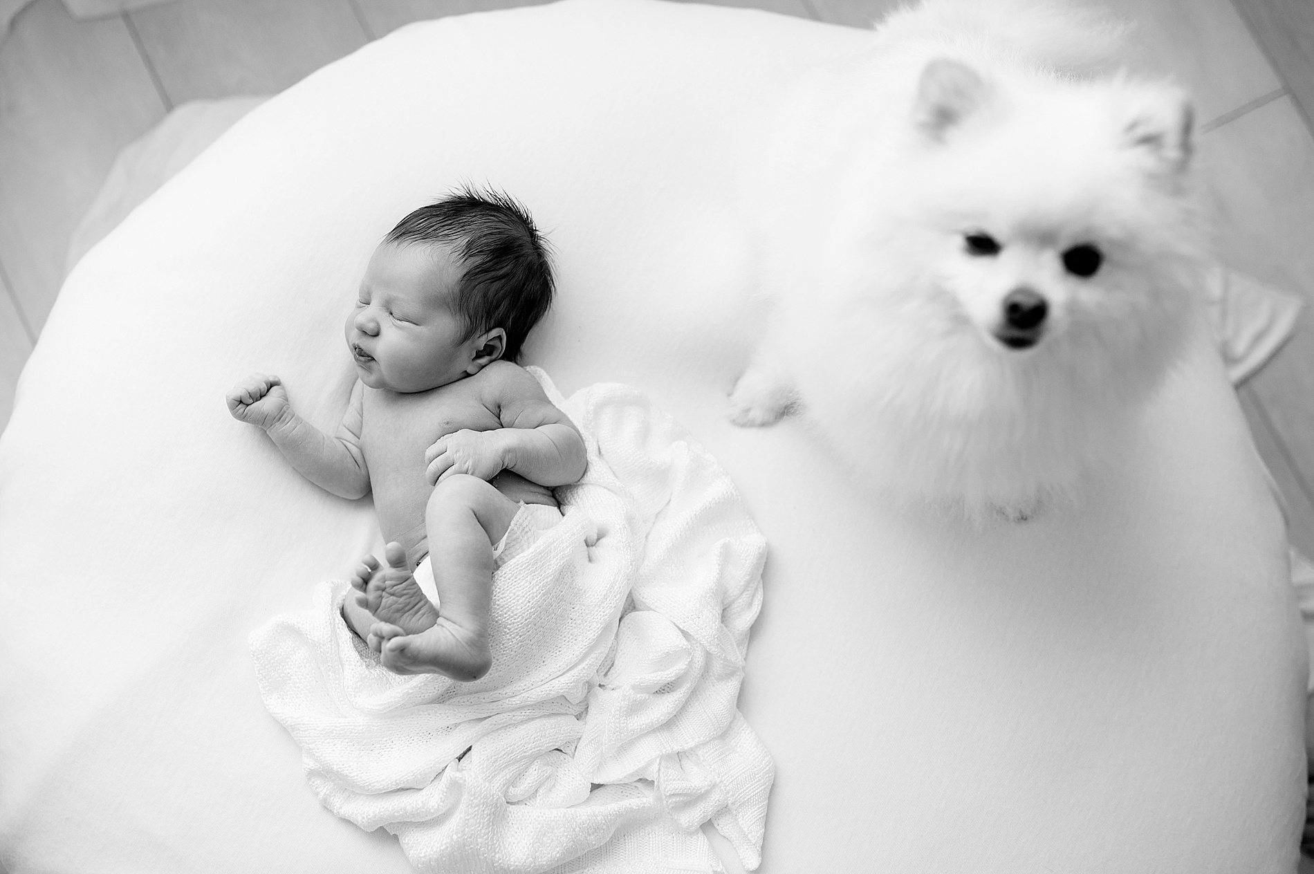 Stress-Free Studio Newborn Sessions | 5 Reasons a Studio Session is Perfect for New Parents