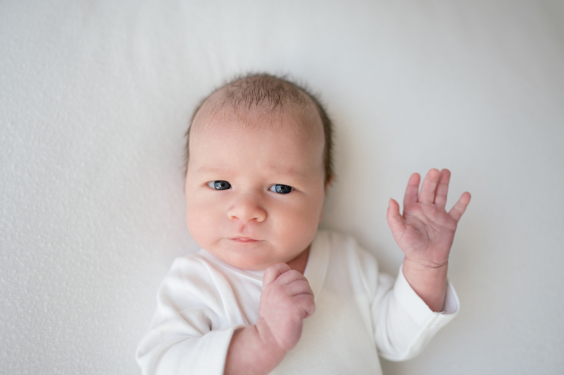 simple newborn session in studio by Frisco, Tx newborn photographer