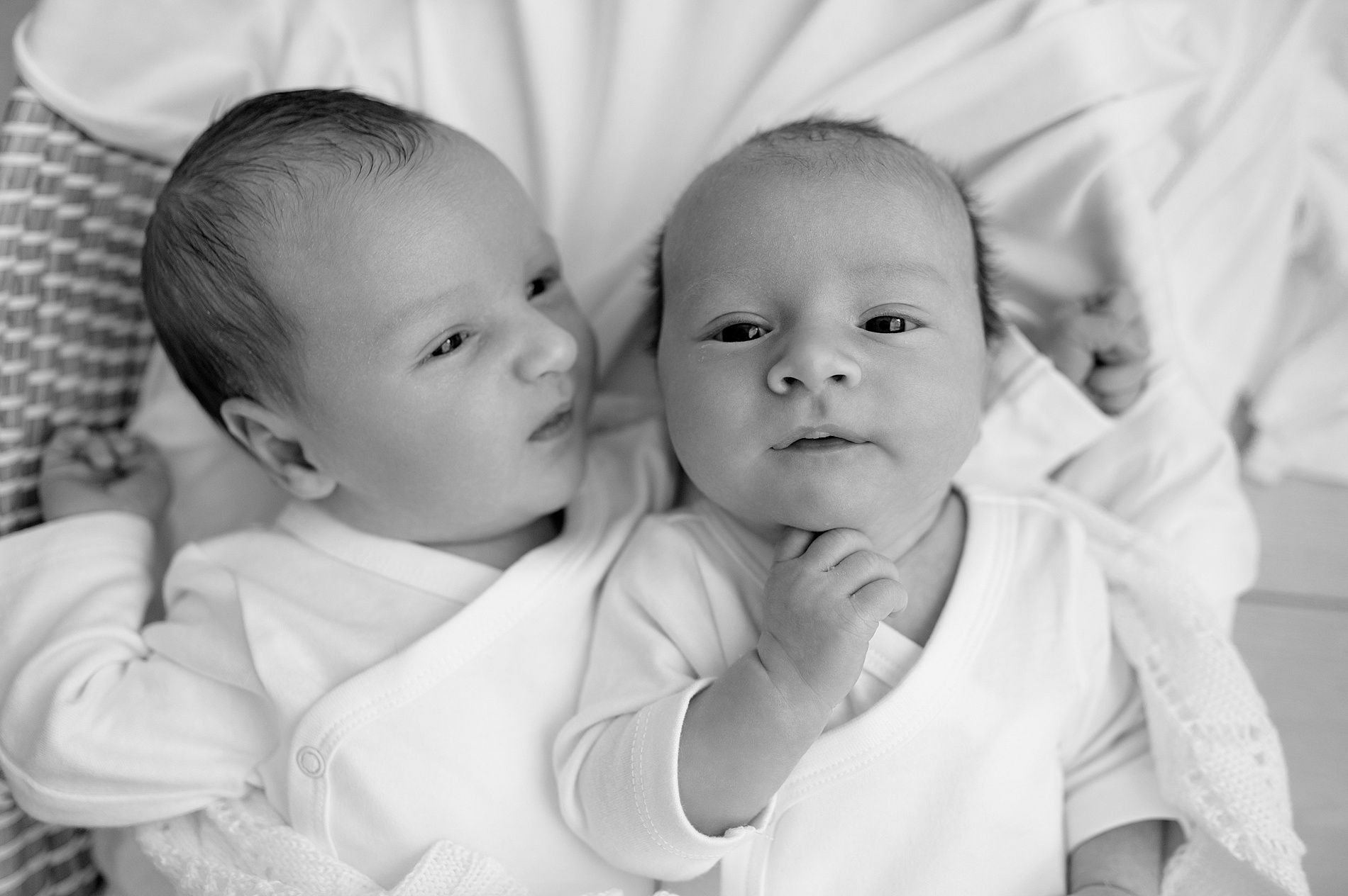 timeless newborn photography of twins in Texas Studio photographed by newborn photographer in Frisco TX