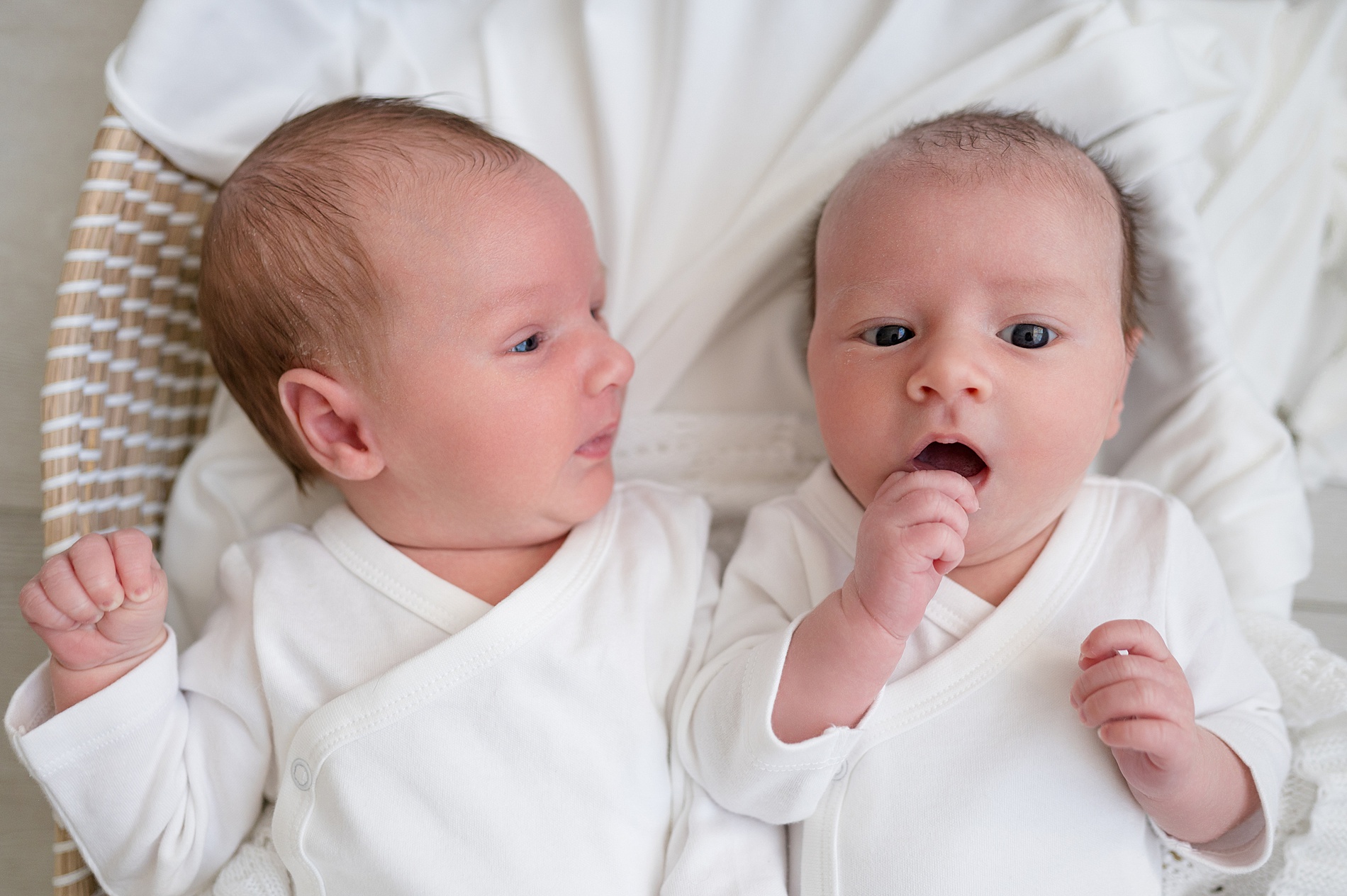 twins lay together in bassinet