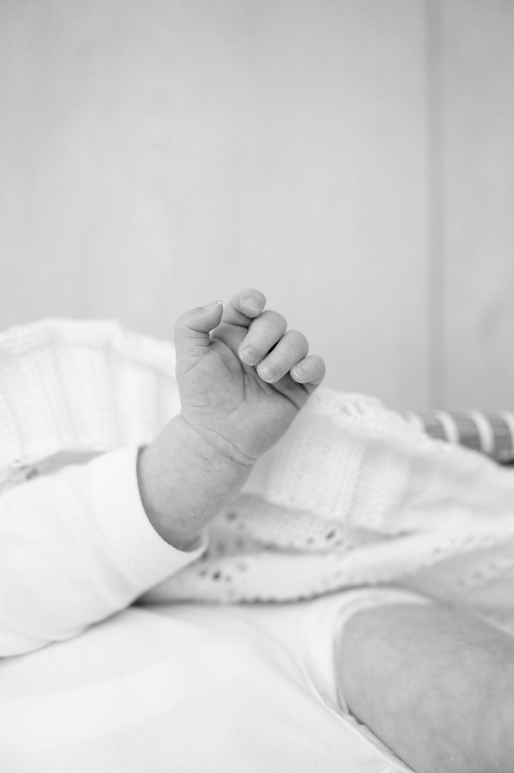 tiny fingers of newborn