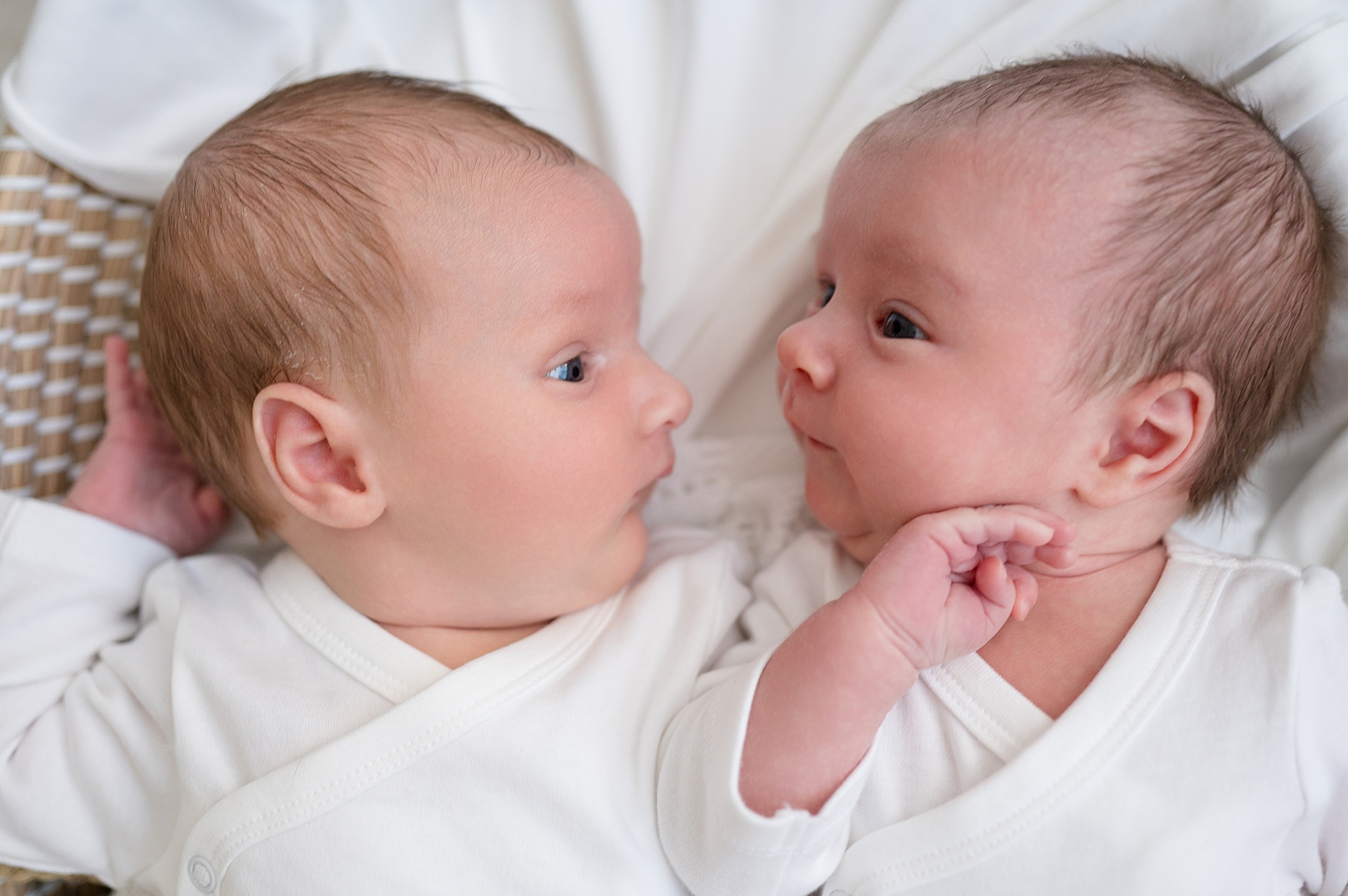 twins lay together in bassinet during studio newborn session