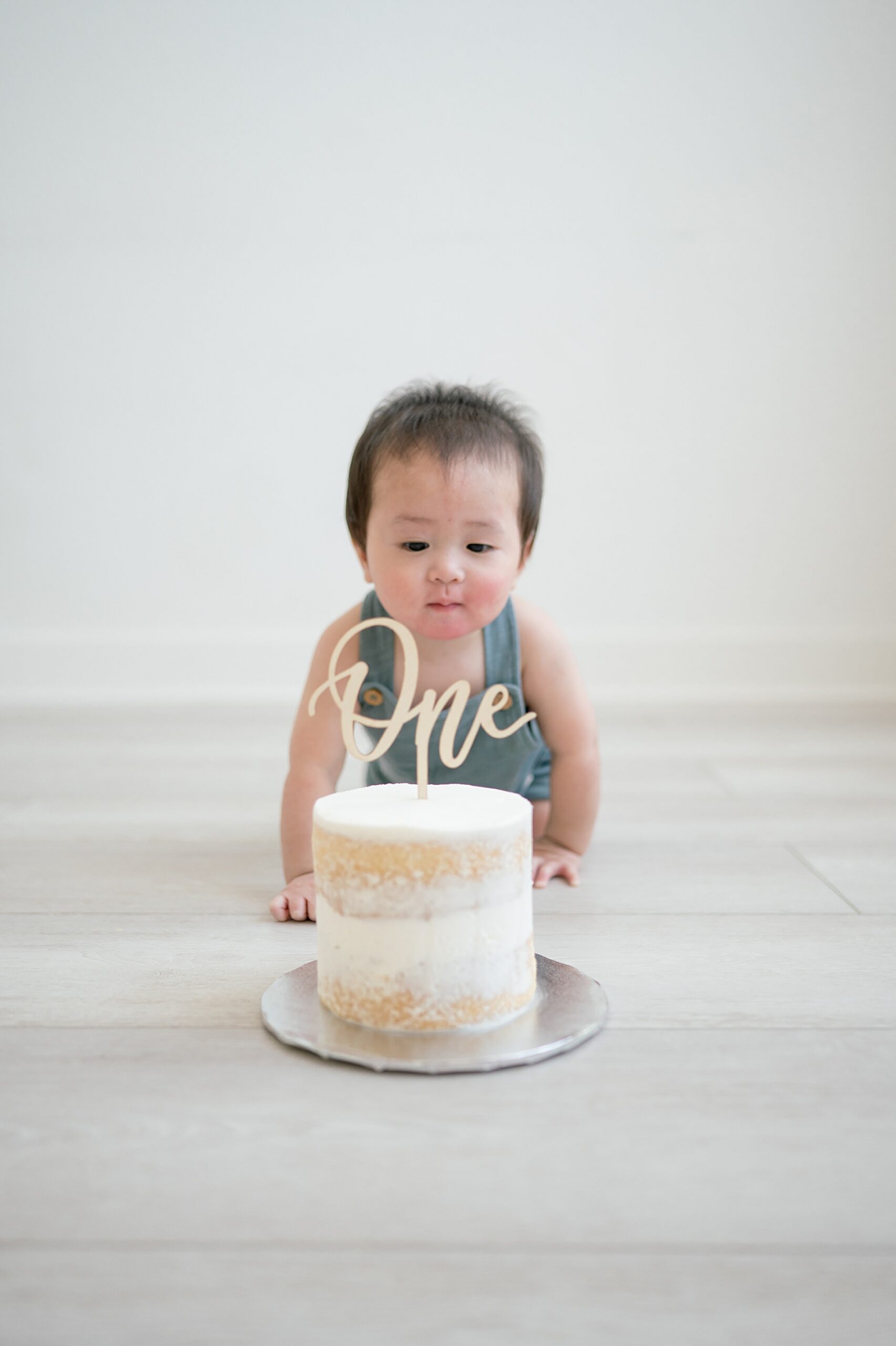 First Birthday Cake Smash Session | One Year Milestone Photographer in Dallas