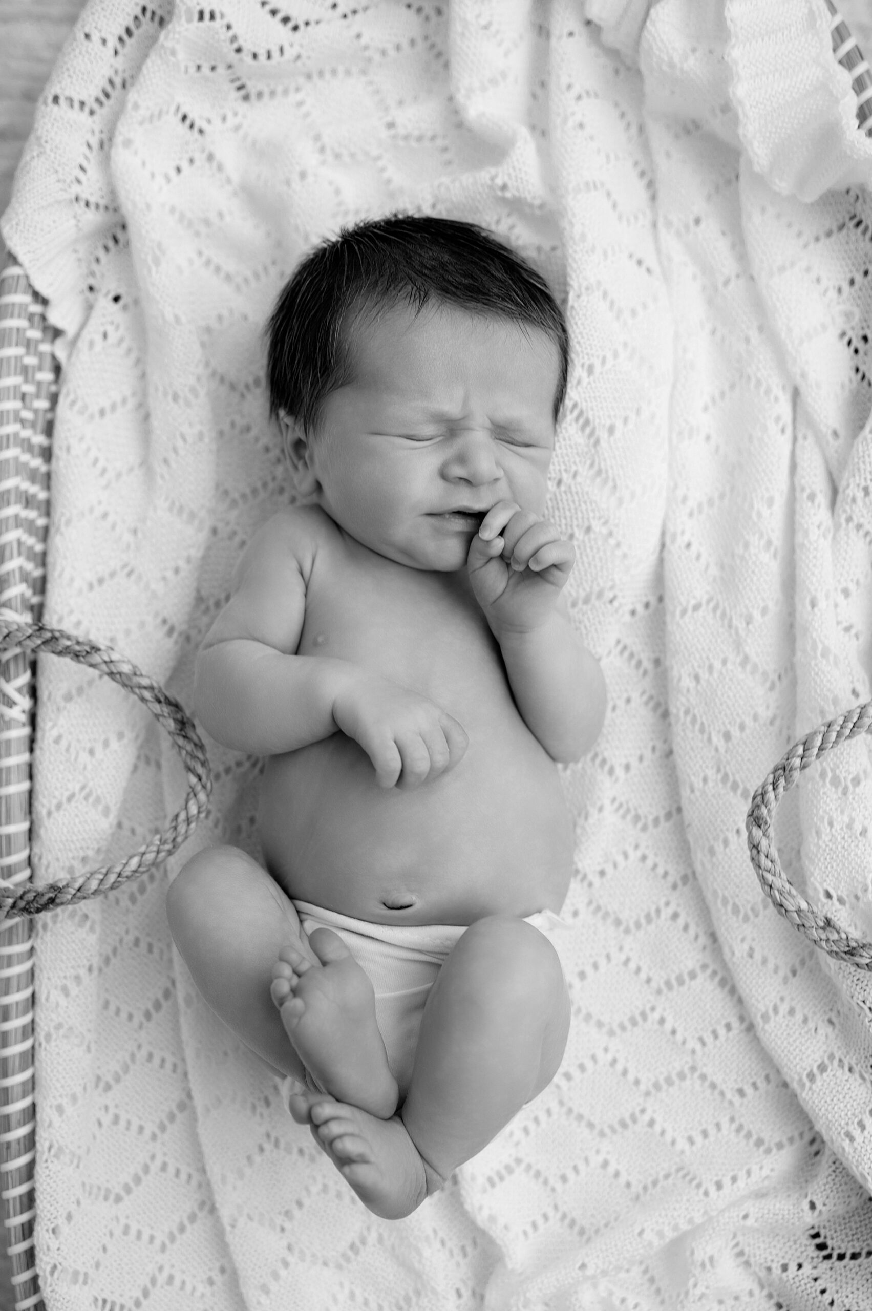 Dallas Studio Newborn Session